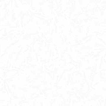 Ankawall Picasso 742080 Boyanabilir Duvar Kağıdı