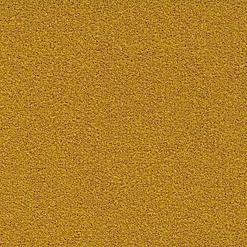 Contesse Darwin 33 Karo Halı