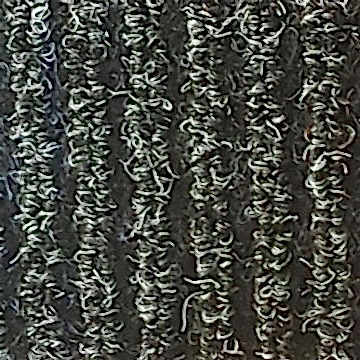 Bali 2098 Paspas