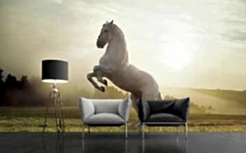 Adawall Moneta M802 Serisi Özel Baskı Poster Duvar Kağıdı