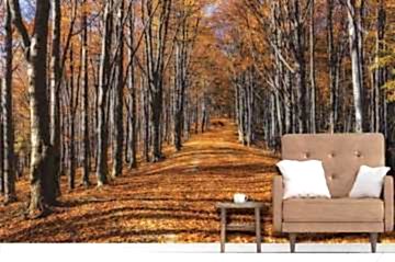 Adawall Moneta M878 Serisi Özel Baskı Poster Duvar Kağıdı