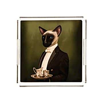 Mr. Cat Pleksi Tepsi PT2104 - 40cm*40cm