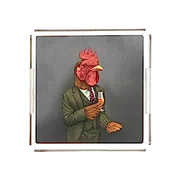 Mr. Treadfowl Pleksi Tepsi PT2101 - 40cm*40cm
